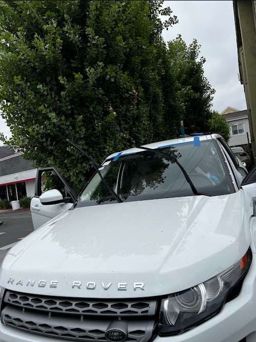 Image of Cosmo AUTO GLASS