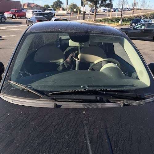 Image of Mint Mobile Auto Glass