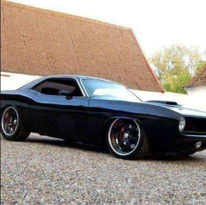 Image of Auto Glass Dynamics