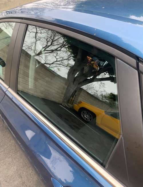 Image of Billings Auto Glass & Windshield Repair Specialist