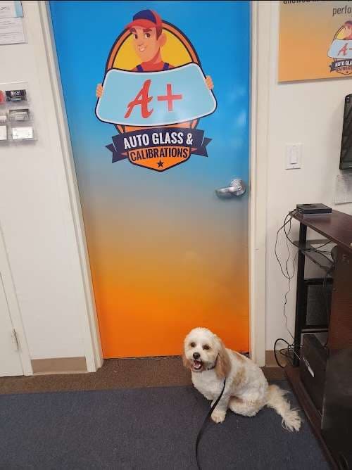 Image of A+ Auto Glass & Calibrations
