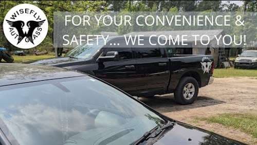 Image of Wisefly Auto Glass