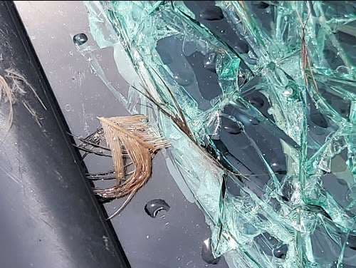Image of Ultimate Auto Glass & Electronics