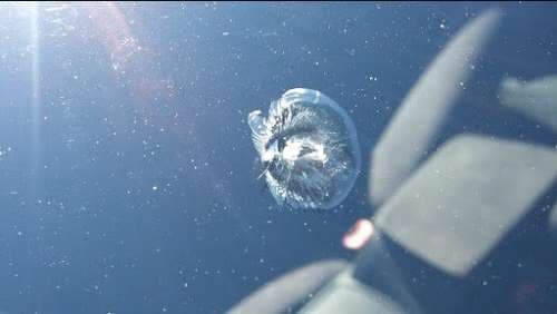 Image of Paul's Windshield Repair