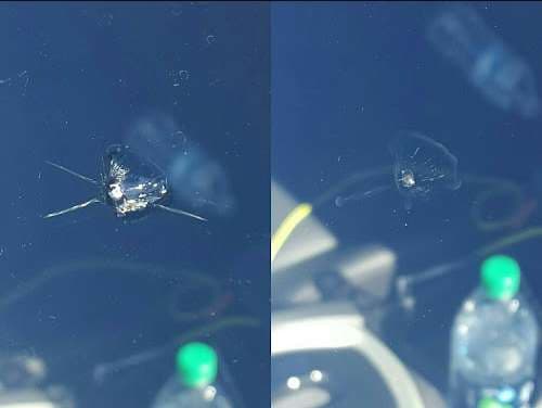 Image of MS Windshield Repair & Replacement