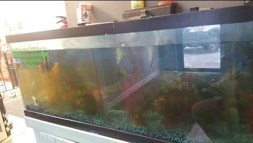 Image of Windshield Doctor