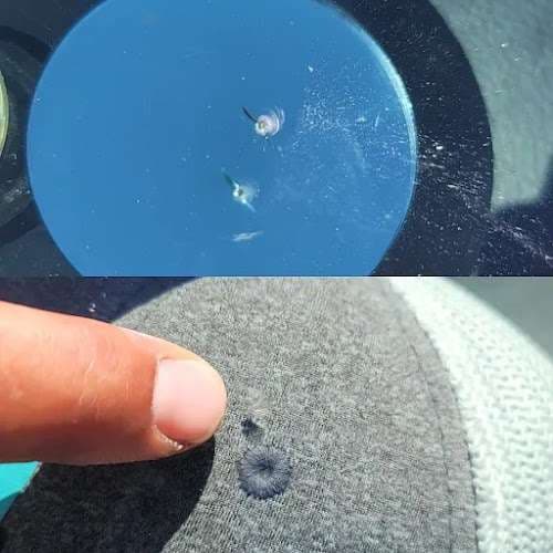 Image of 4 Cubs Auto Glass