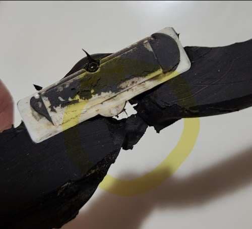 Image of Easy Auto Glass