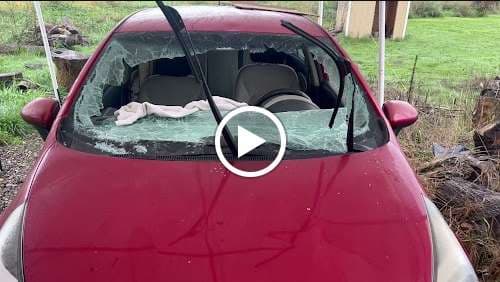 Image of Patagonia Auto Glass