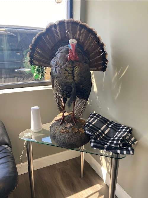 Image of Carolina Mobile Glass Services