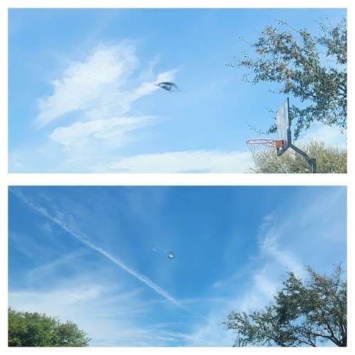 Image of Windshield Repair Doc