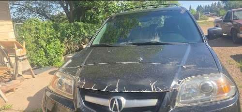 Image of ARTISTIC AUTO GLASS INC.